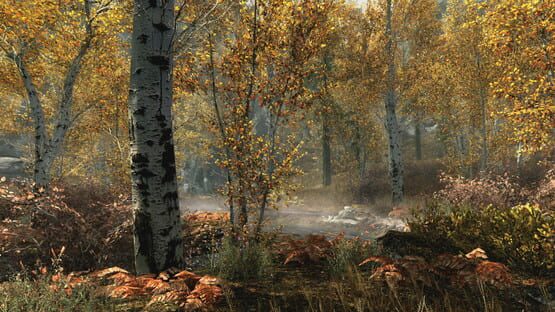 The Elder Scrolls V: Skyrim Special Edition képernyőkép 1