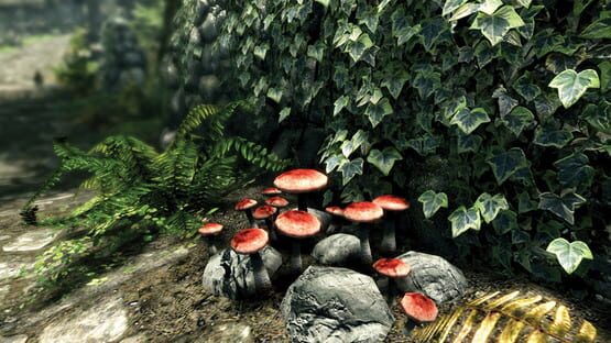 The Elder Scrolls V: Skyrim Special Edition képernyőkép 3