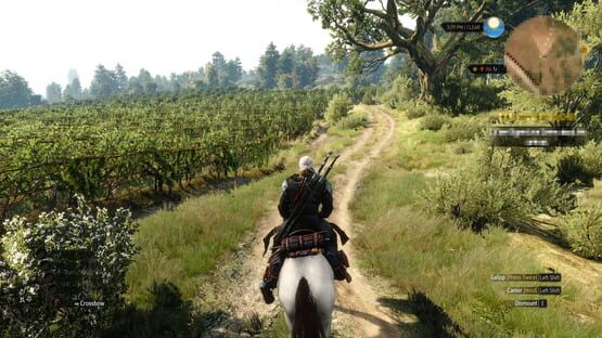 The Witcher 3: Wild Hunt - Hearts of Stone képernyőkép 3