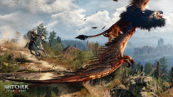 The Witcher 3: Wild Hunt képernyőkép 12
