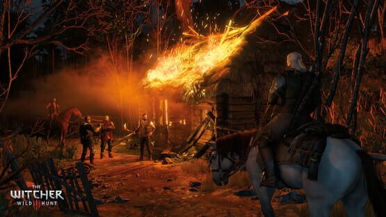 The Witcher 3: Wild Hunt képernyőkép 3