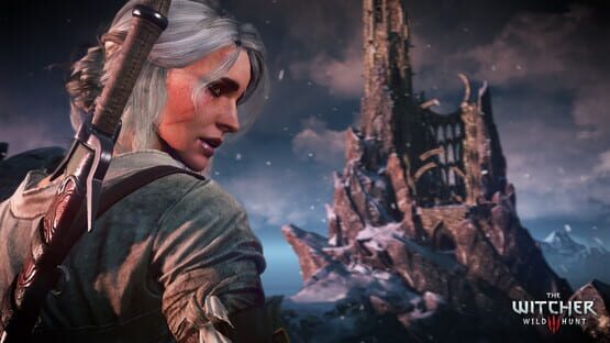 The Witcher 3: Wild Hunt képernyőkép 8