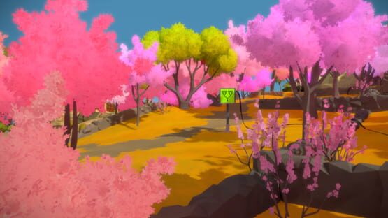 The Witness képernyőkép 3