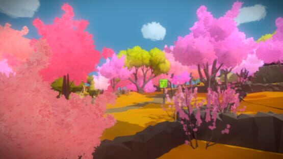 The Witness képernyőkép 9