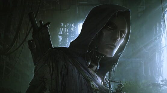 Wasteland 2: Director's Cut képernyőkép 5